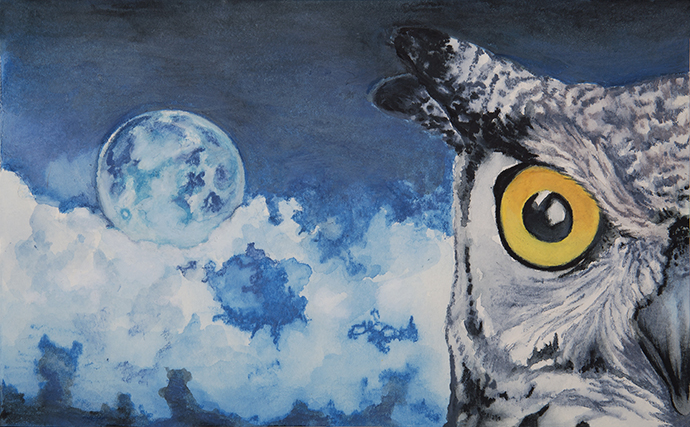 julie viens owl moon cloud sky night Edgar's Last Night Free watercolor pencil drawing painting