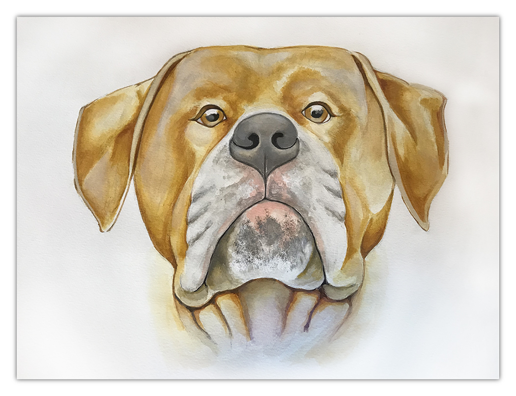 julie viens dog portrait acrylic painting felix