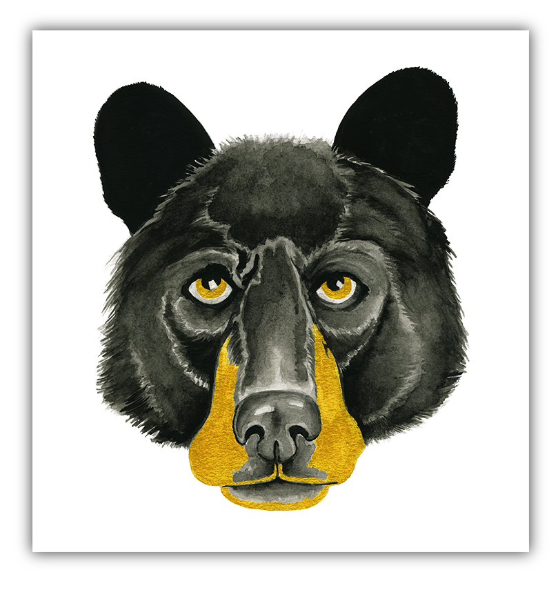 aurum bear gold black ursus ursine gouache watercolor