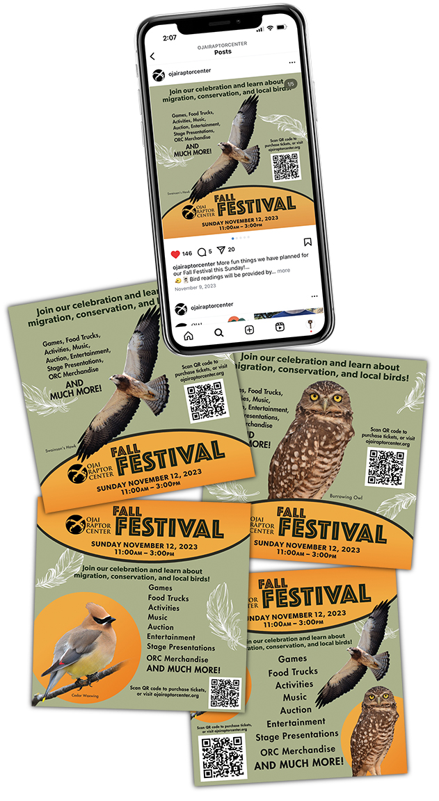 julie viens design ojai raptor center fall festival social media digital campaign
