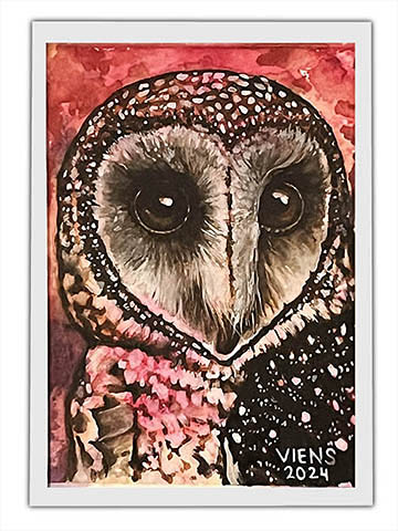 julie viens sooty owl gouache