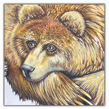 julie viens plush bear drawing